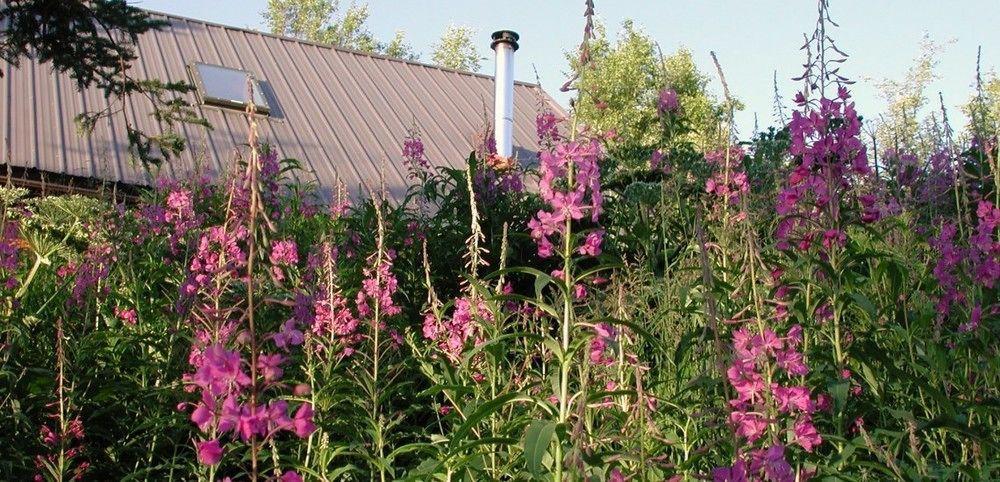 Juneberry Lodge Хомер Экстерьер фото