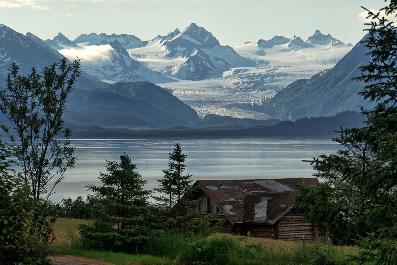 Juneberry Lodge Хомер Экстерьер фото