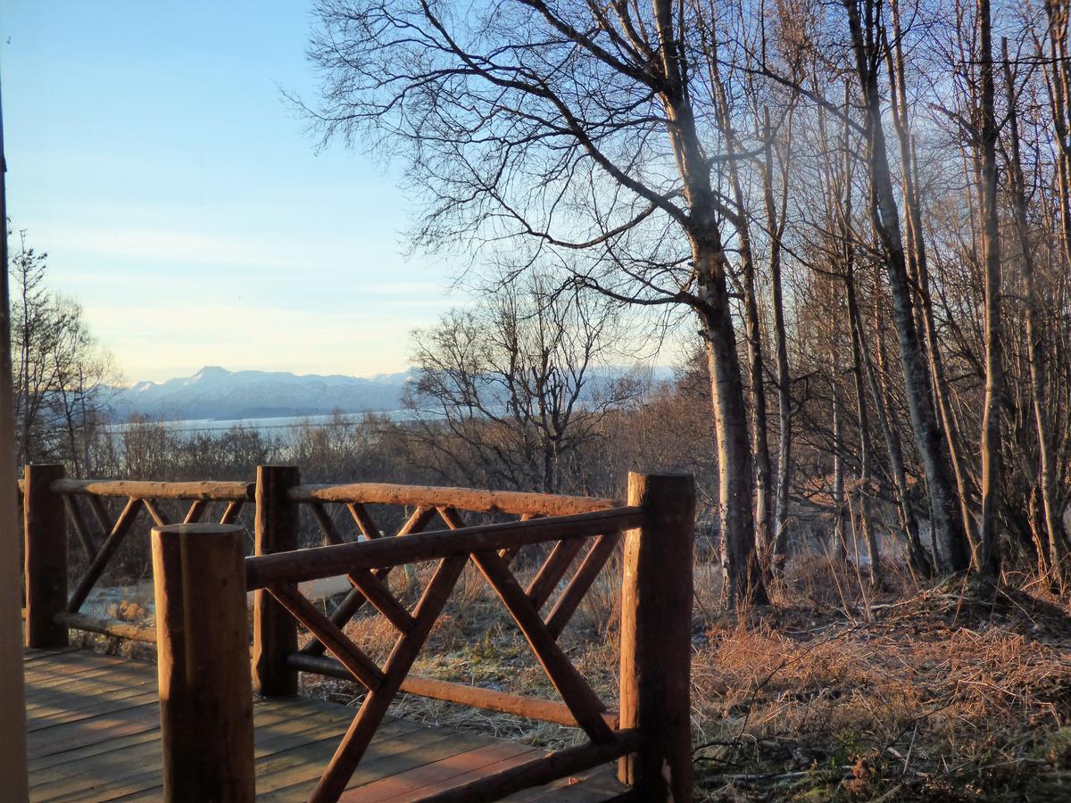 Juneberry Lodge Хомер Экстерьер фото