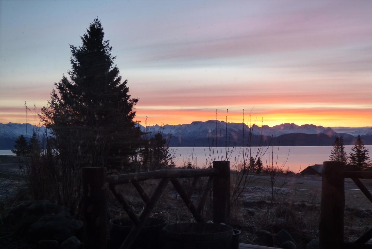 Juneberry Lodge Хомер Экстерьер фото