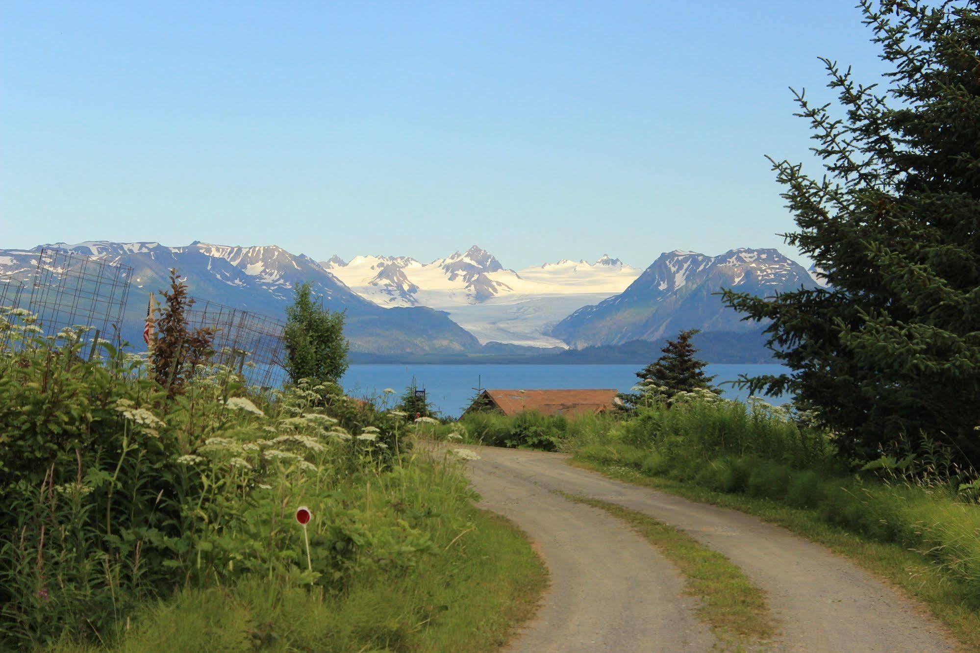 Juneberry Lodge Хомер Экстерьер фото
