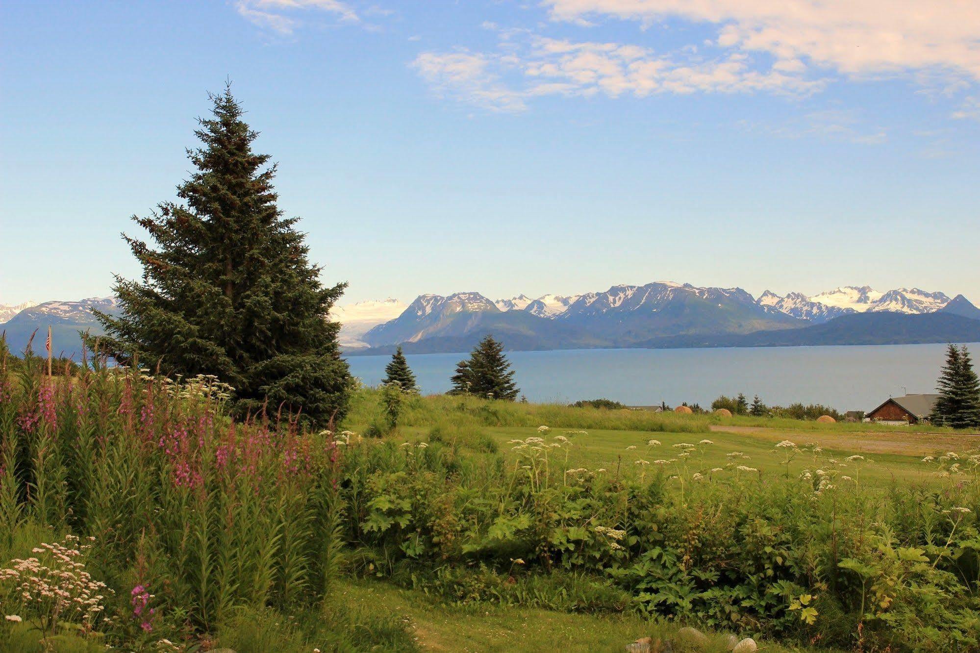 Juneberry Lodge Хомер Экстерьер фото